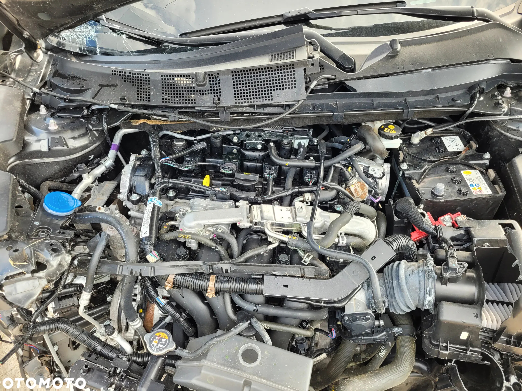 Mazda CX-5 2.5 Homura 2WD - 12