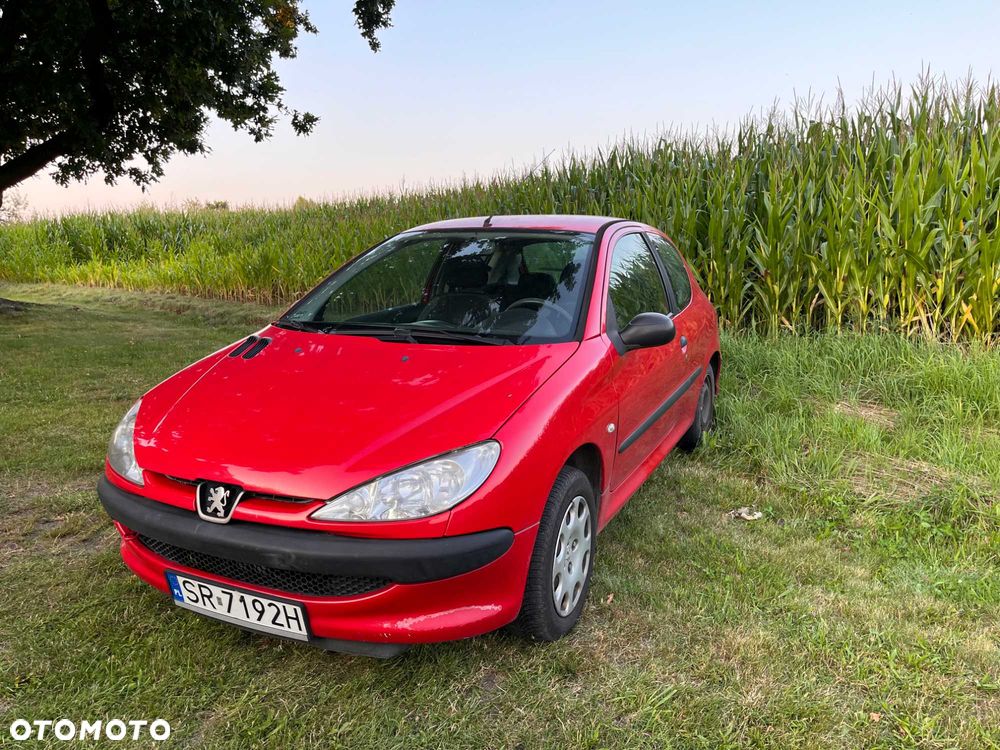 Peugeot 206 - 1