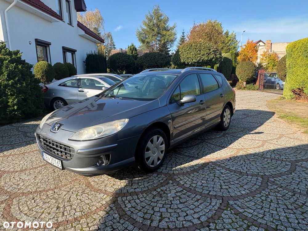 Peugeot 407 - 6