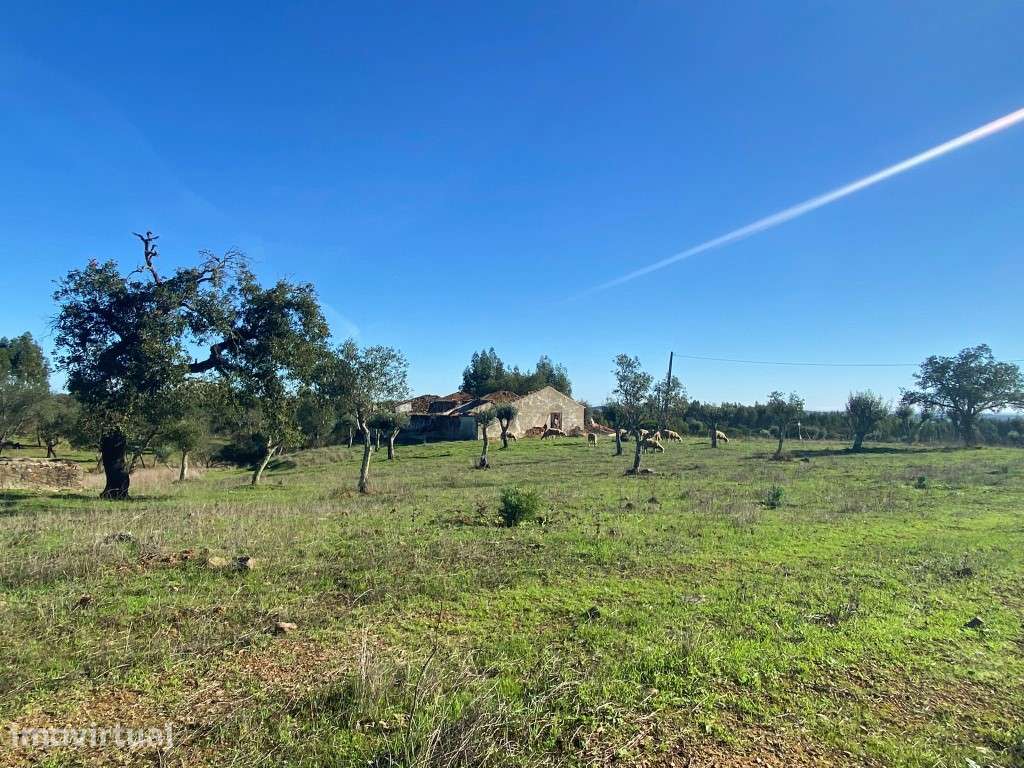 Quinta para recuperar na Serra de Grândola - Grande imagem: 4/16