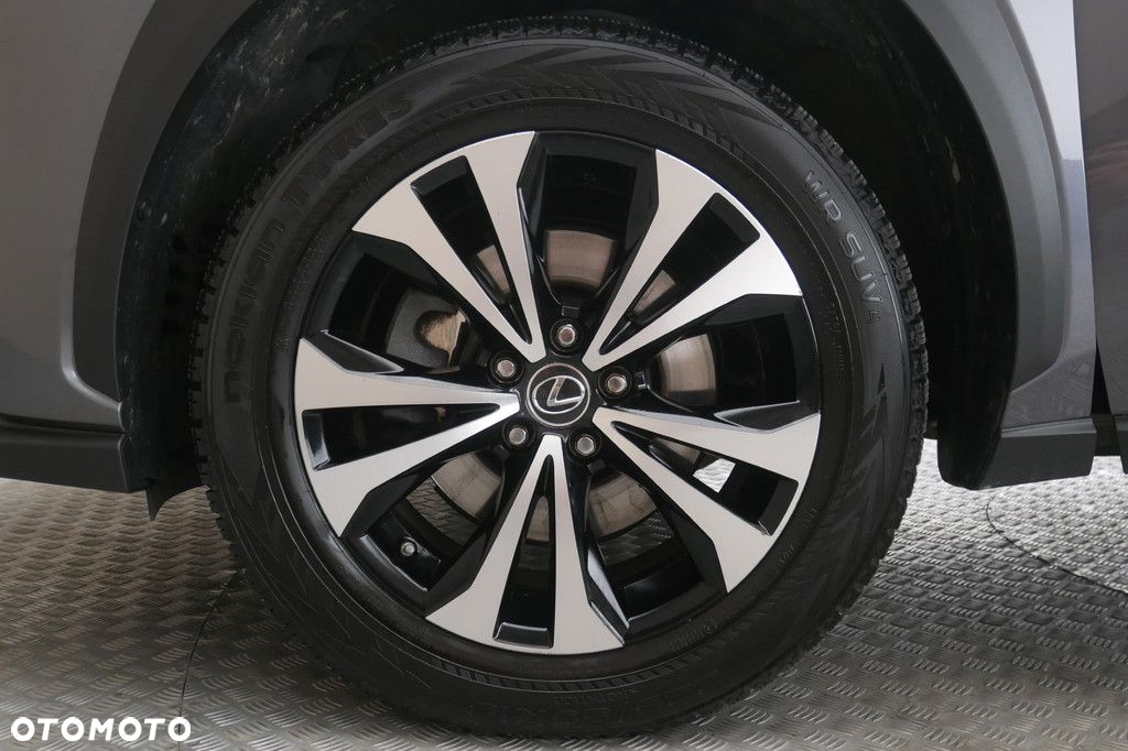 Lexus NX - 14