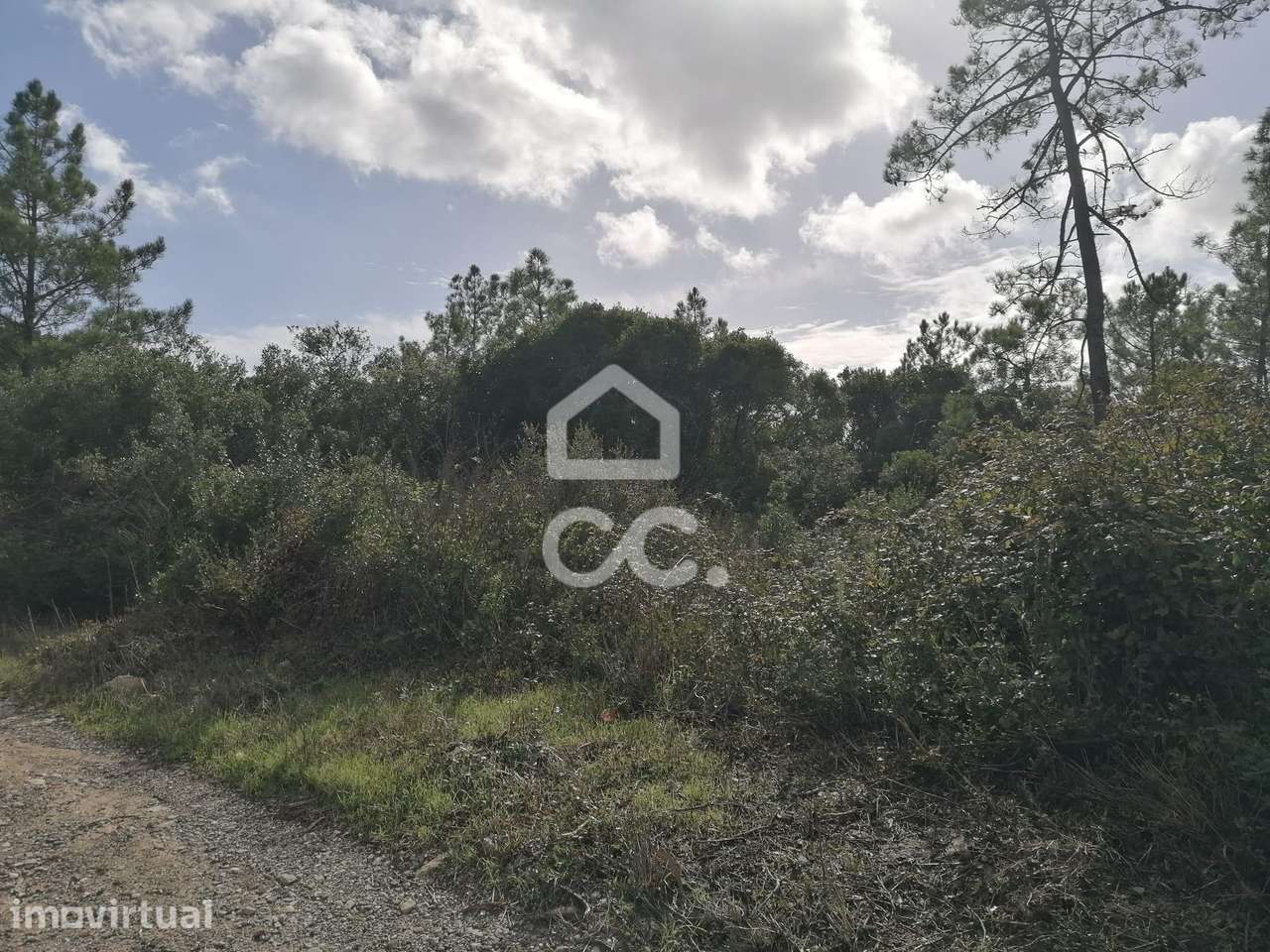 Terreno Rústico de 6.960 m² na Usseira, Óbidos - Grande imagem: 5/7