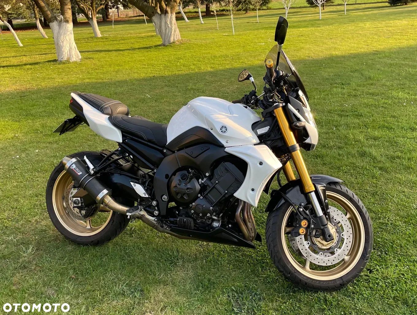Yamaha FZ8 - 1