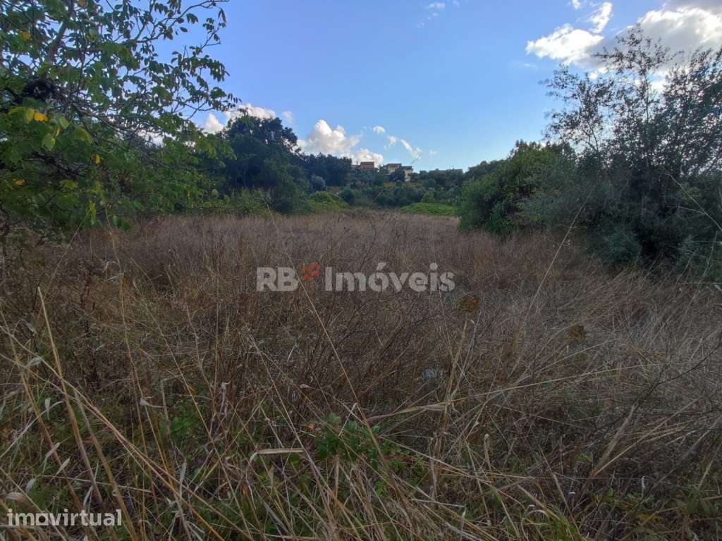 Terreno rústico com 1280m² - Ferreira do Zêzere - Grande imagem: 3/13
