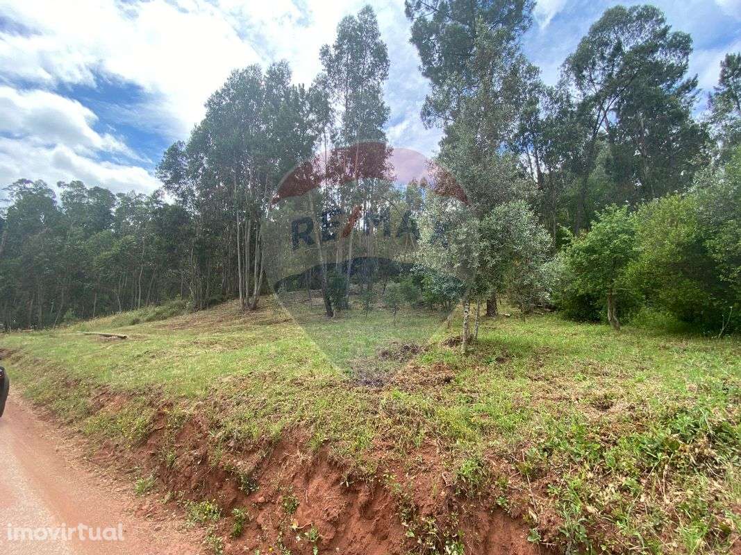 Terreno  para venda - Grande imagem: 3/6