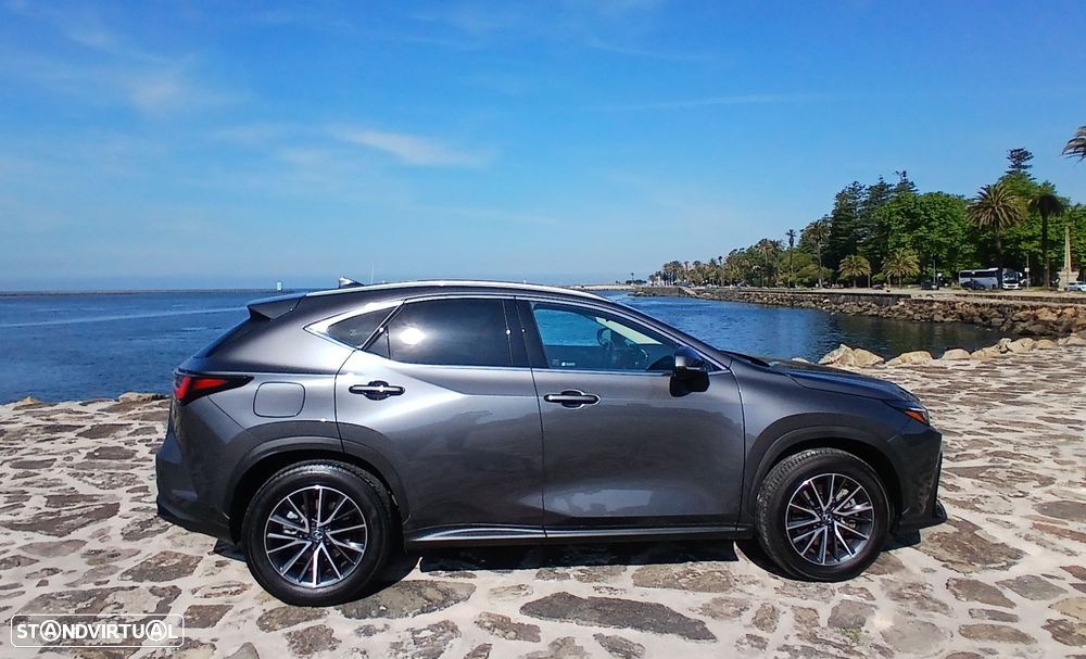 Lexus NX 450h+ - 6
