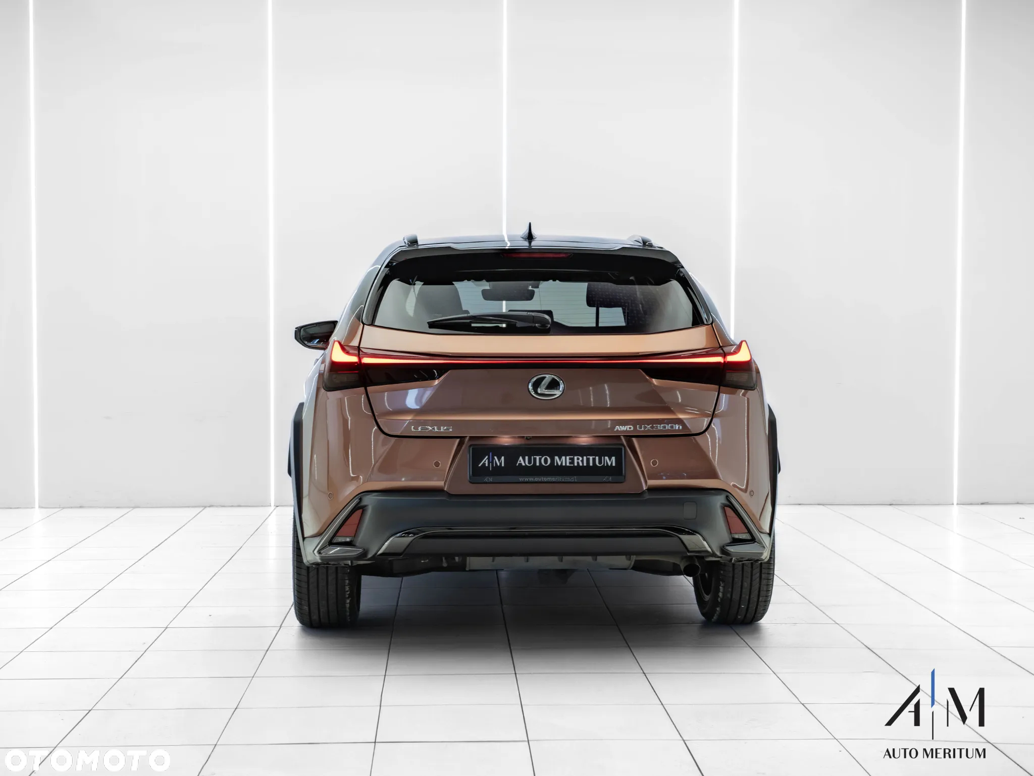Lexus UX 300h F Sport Design AWD - 8