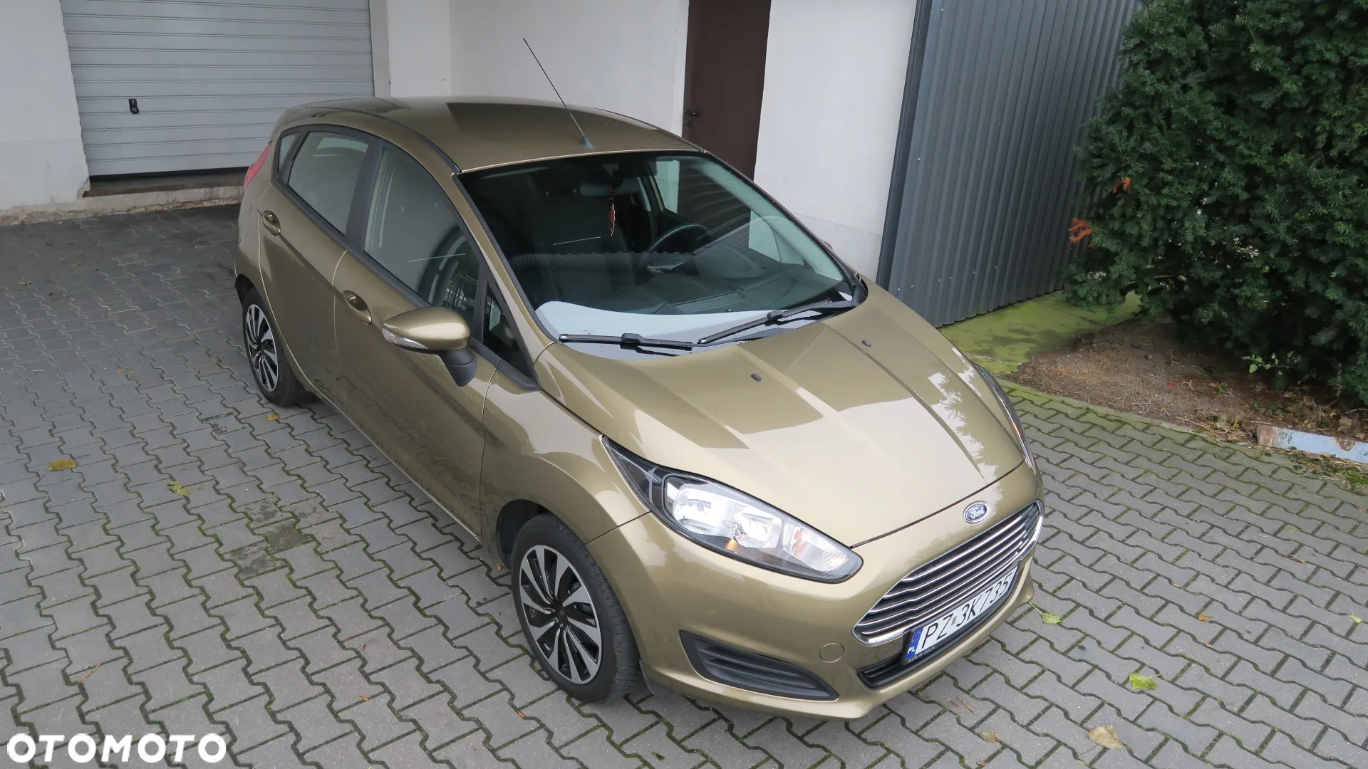Ford Fiesta - 4