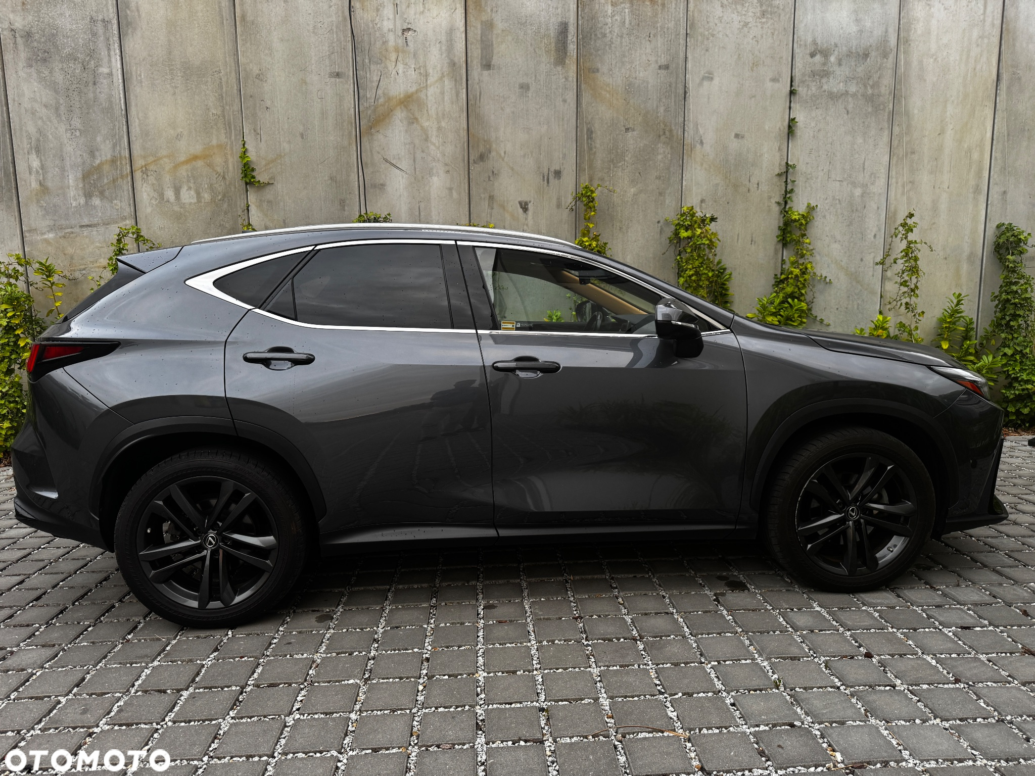 Lexus NX - 3
