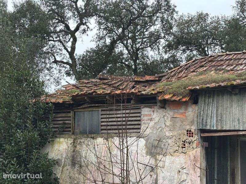 Moradia para recuperar em rio maior - Grande imagem: 5/7