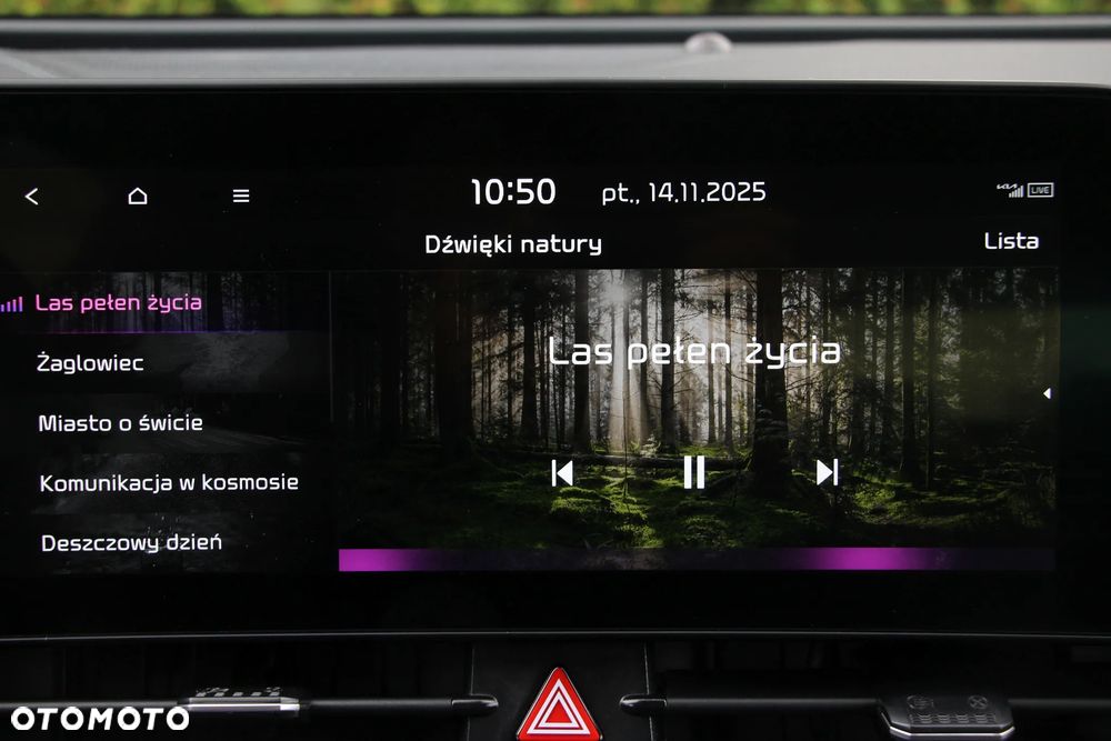 Kia Sportage 1.6 T-GDI PHEV GT Line 4WD - 38