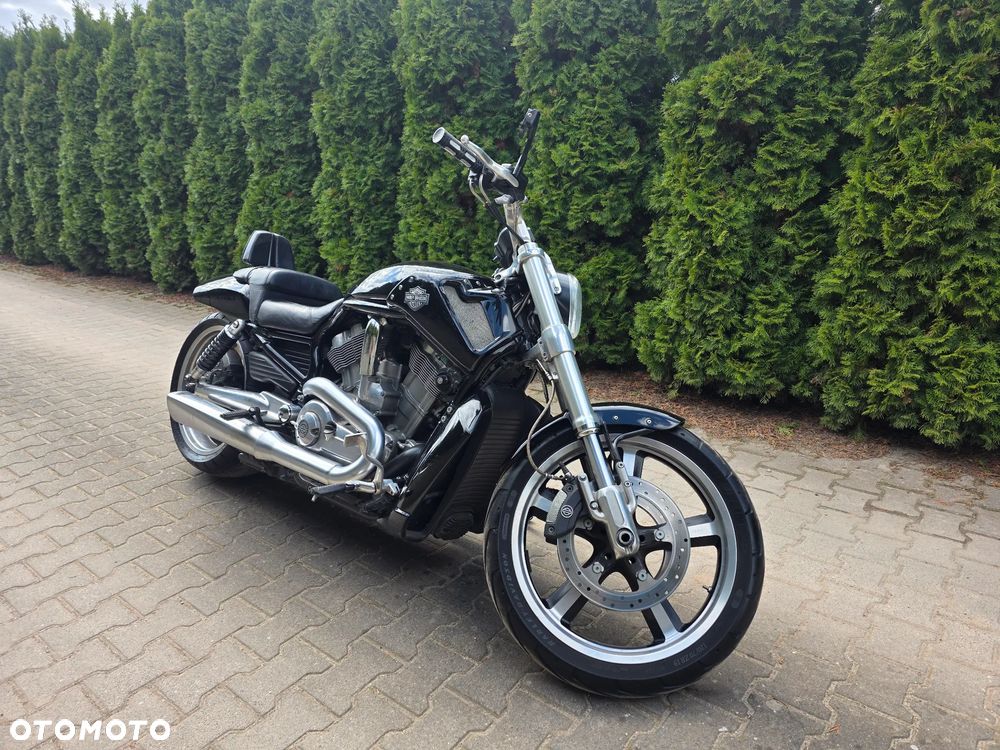 Harley-Davidson V-Rod Muscle - 1