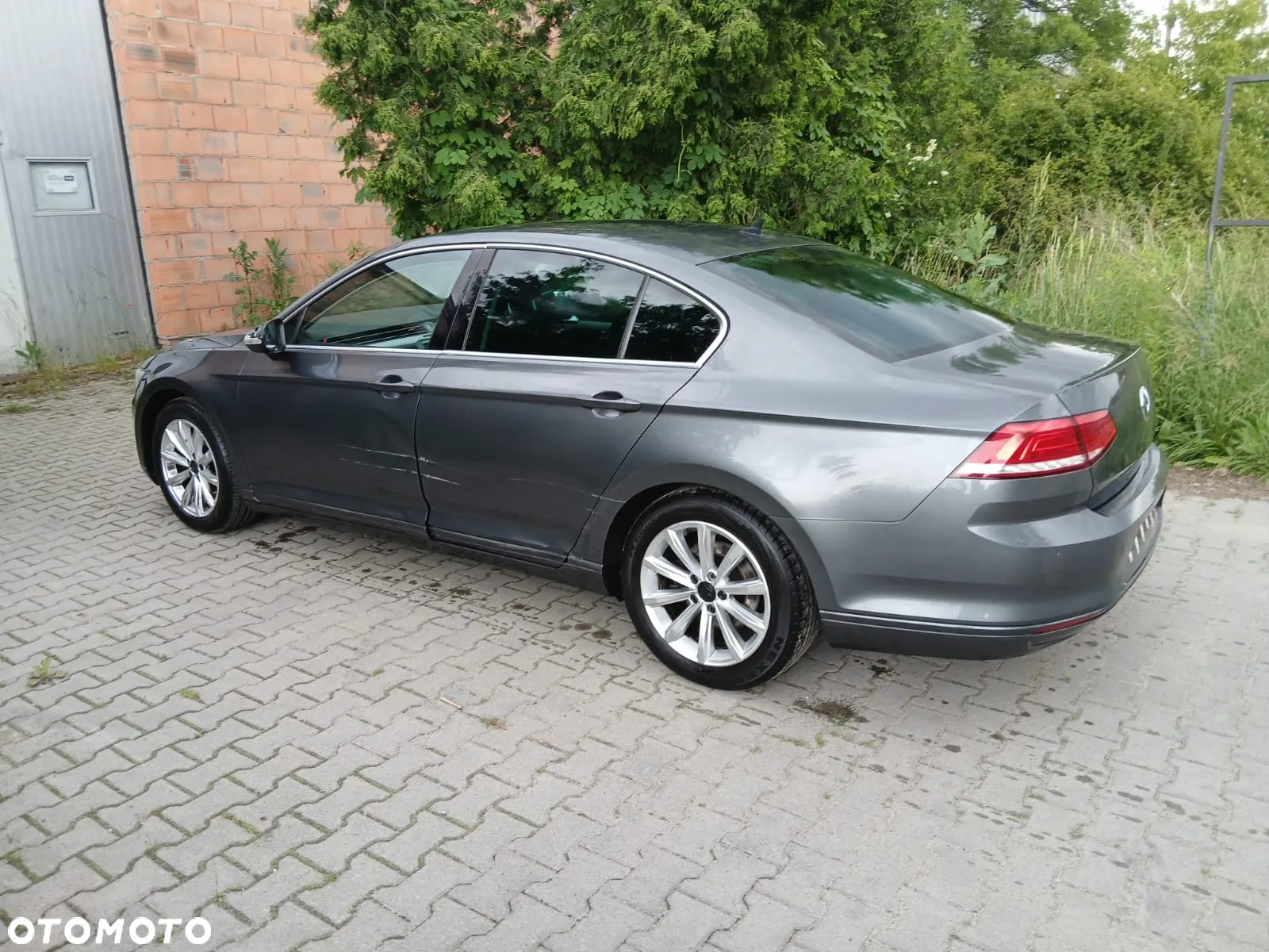 Volkswagen Passat - 3