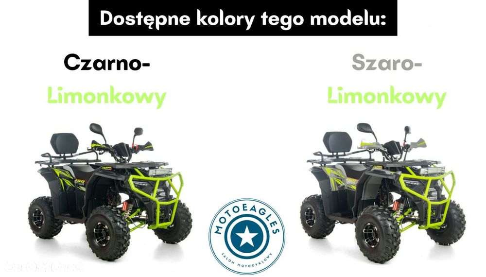 XTR Inny - 12