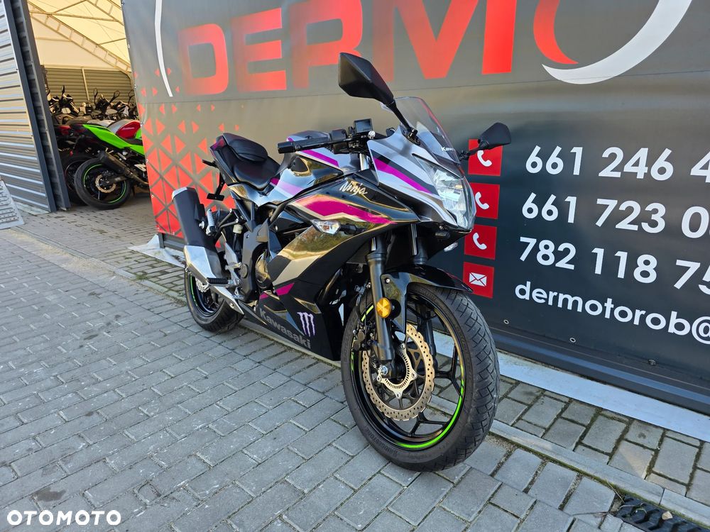 Kawasaki Ninja - 30