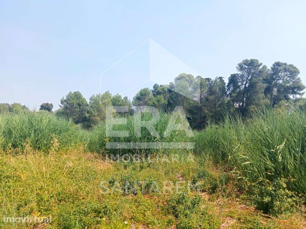 Terreno para Venda - 707 m² - Grande imagem: 4/11