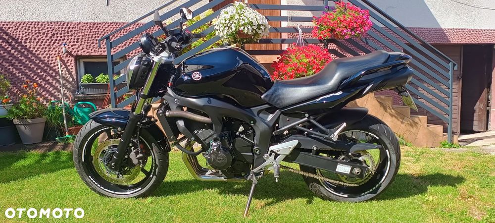 Yamaha FZ6 - 10