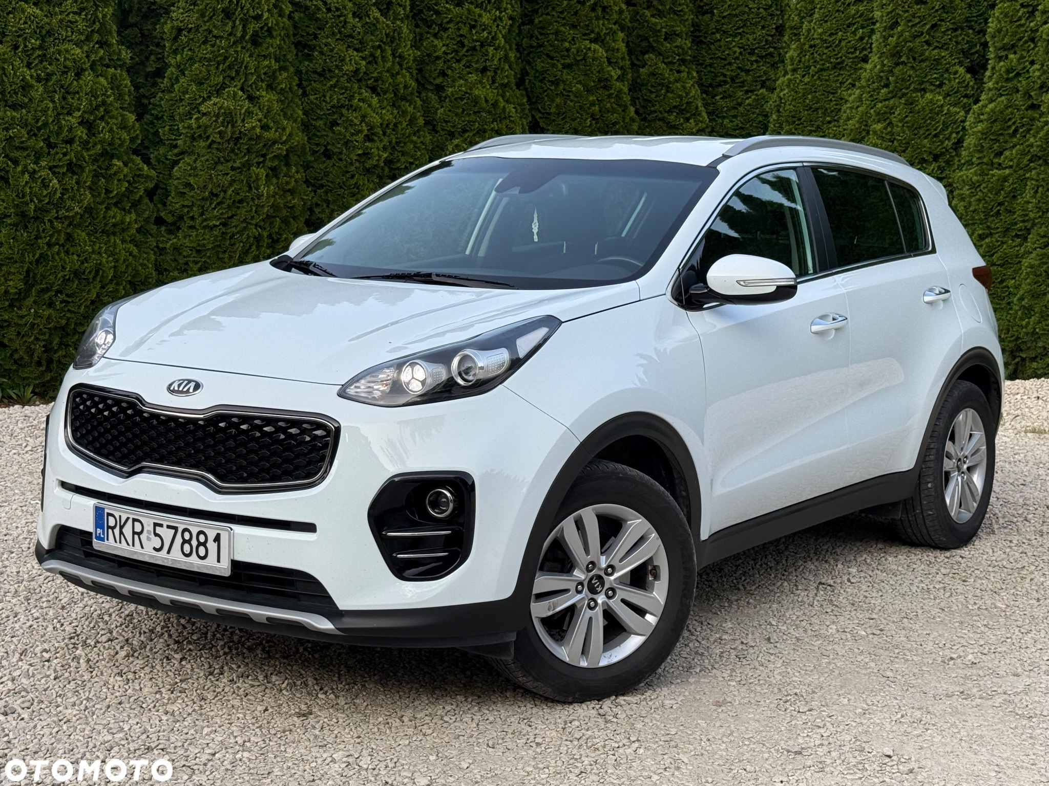 Kia Sportage 1.6 GDI Business Line 2WD - 2