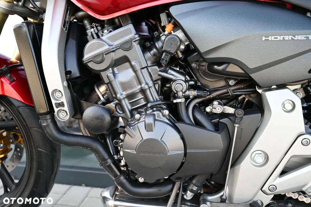 Honda Hornet - 10
