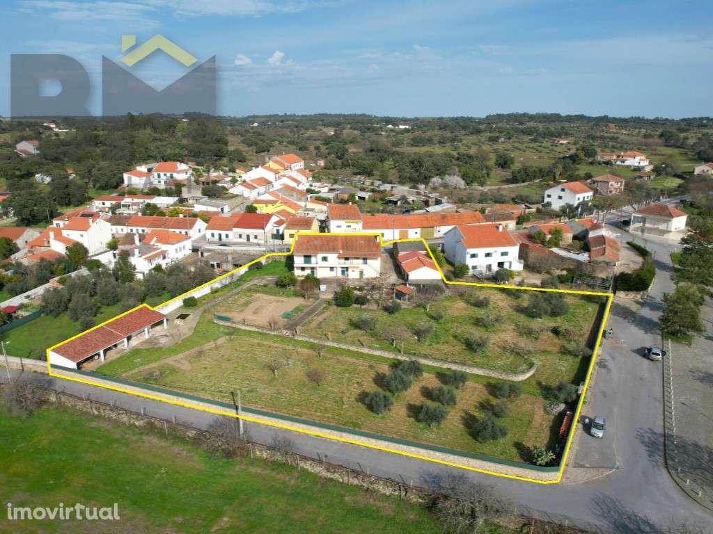 Moradia T4 com 5000m2 de terreno - Escalos de Baixo (Castelo Branco) - Grande imagem: 2/35