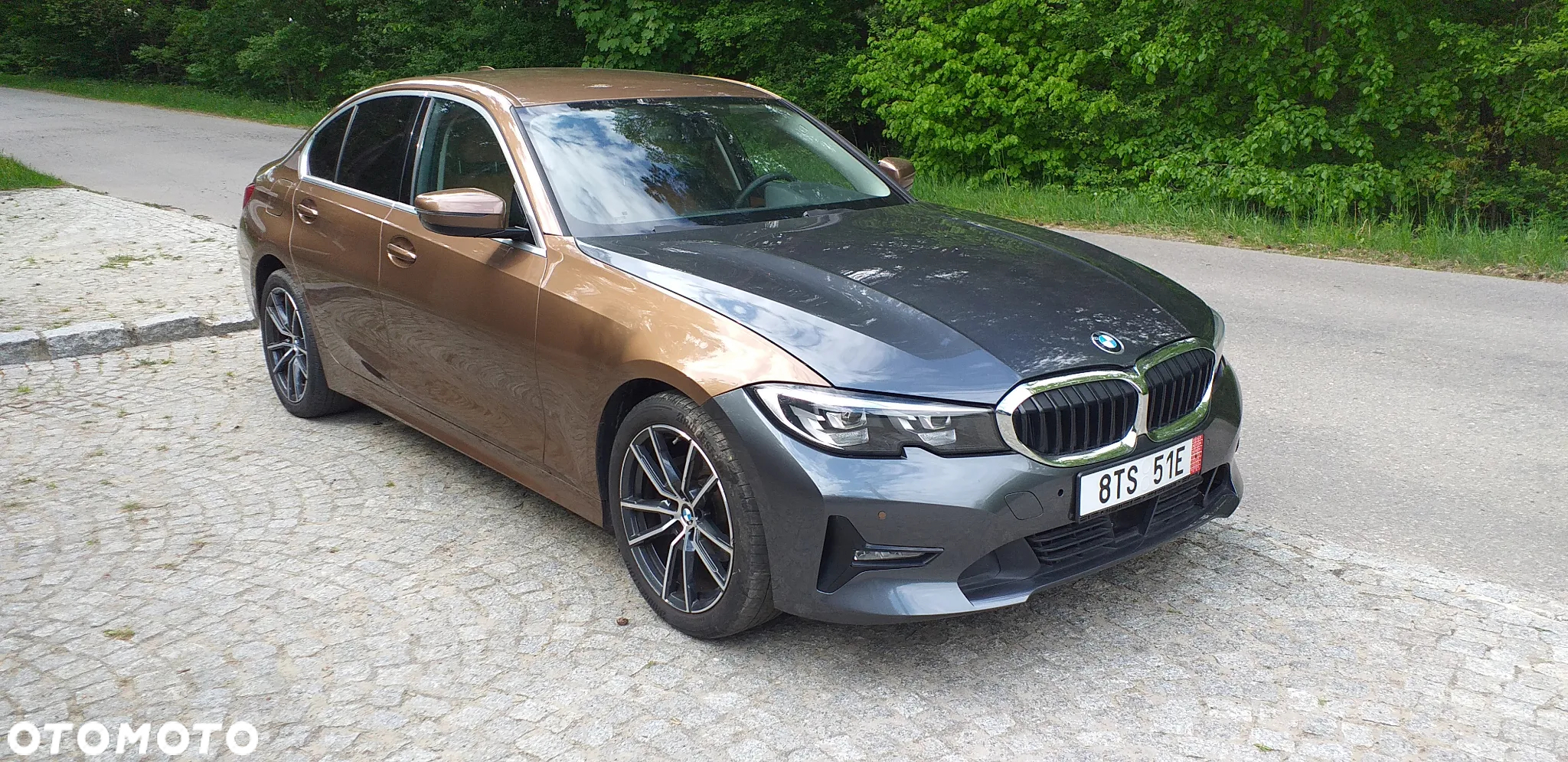 BMW Seria 3 318d Luxury Line - 2
