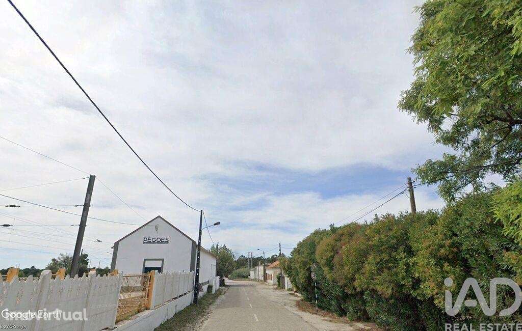 Terreno em Pegões de 108508,00 m2 - Grande imagem: 3/11