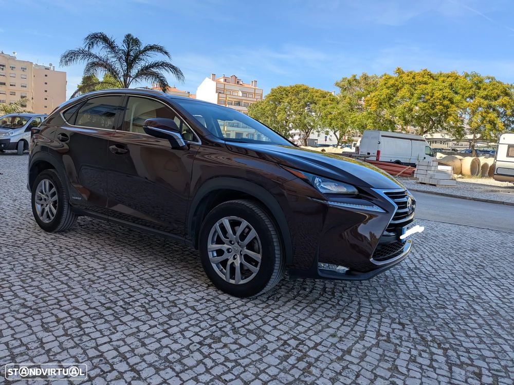 Lexus NX 300h Executive+ - 2