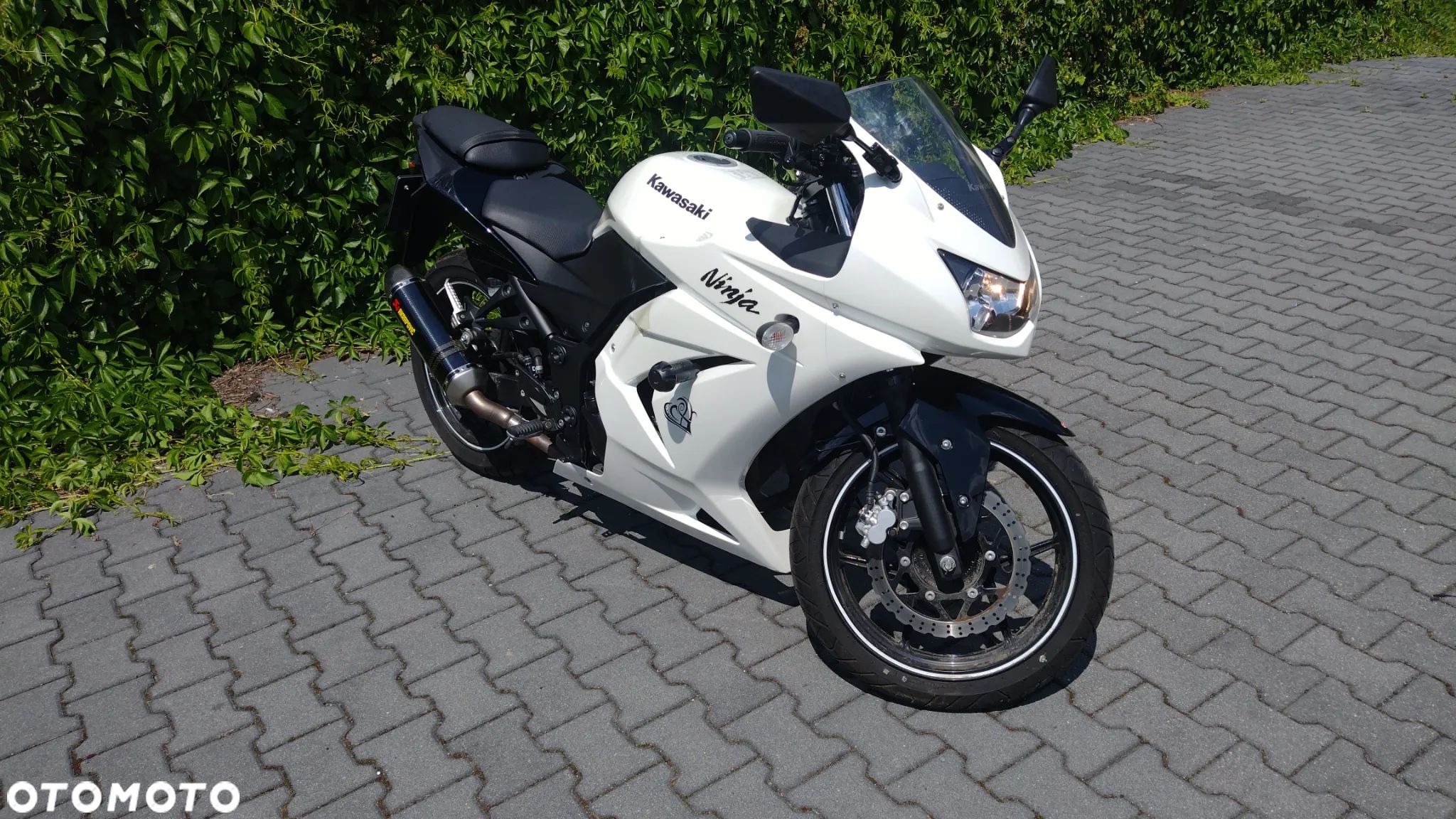 Kawasaki Ninja 250R - 1