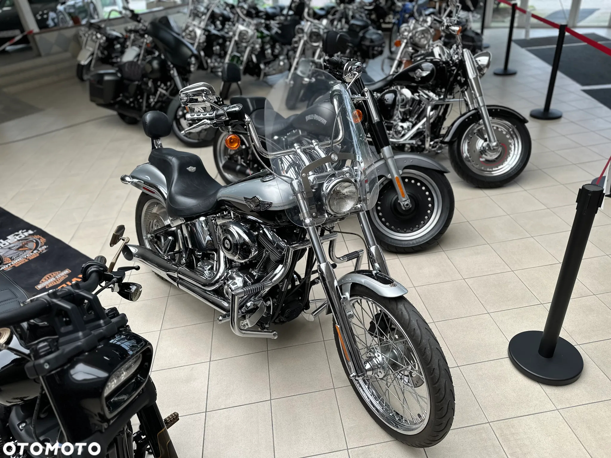 Harley-Davidson Softail - 3