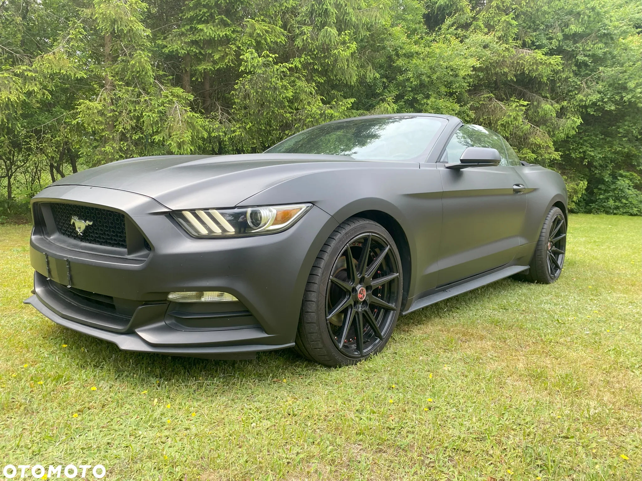Ford Mustang 3.7 V6 - 19