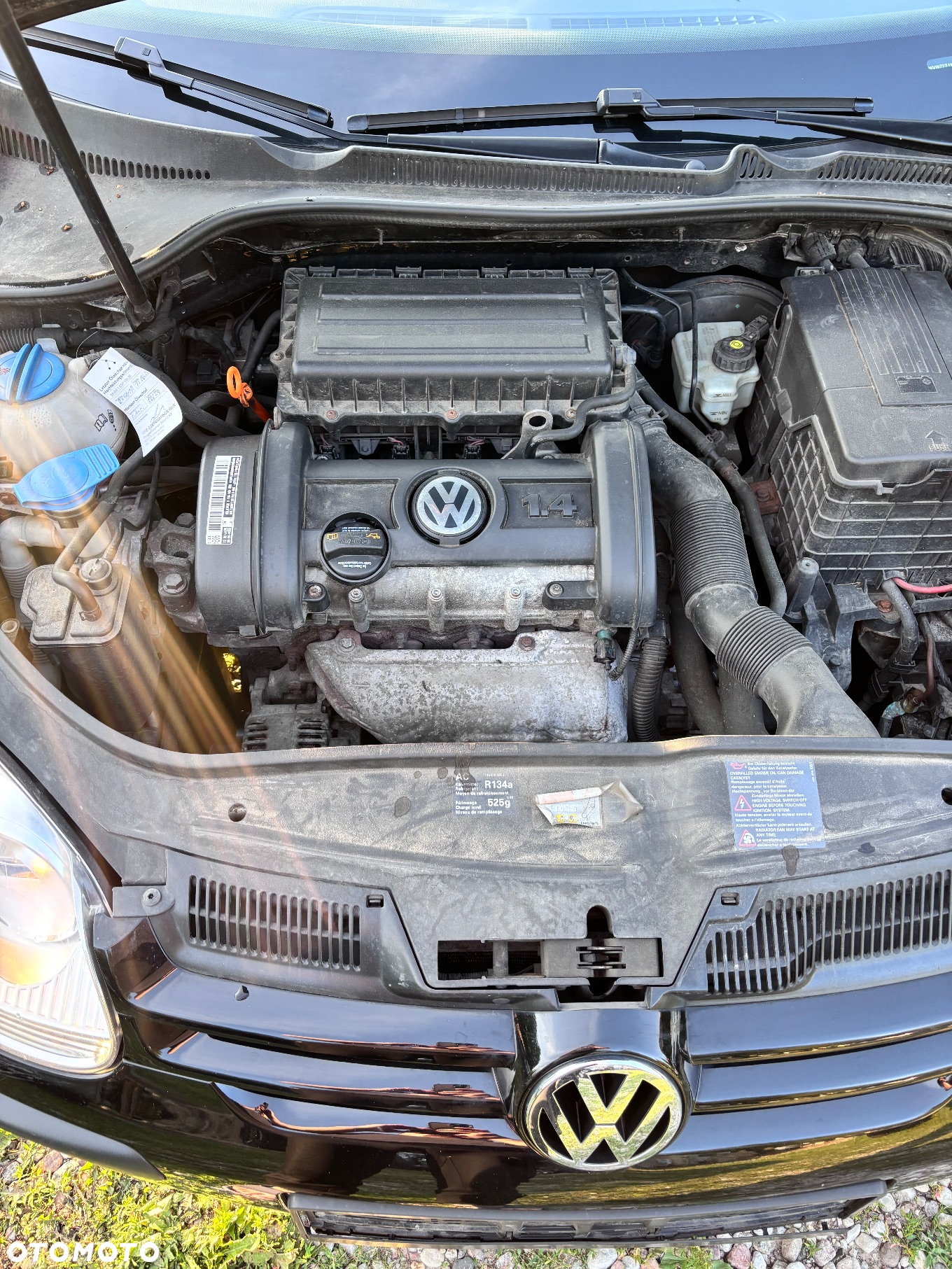 Volkswagen Golf - 13