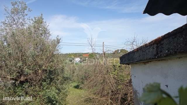 Casa típica do Ribatejo em Alvega, concelho de Abrantes. - Grande imagem: 5/26