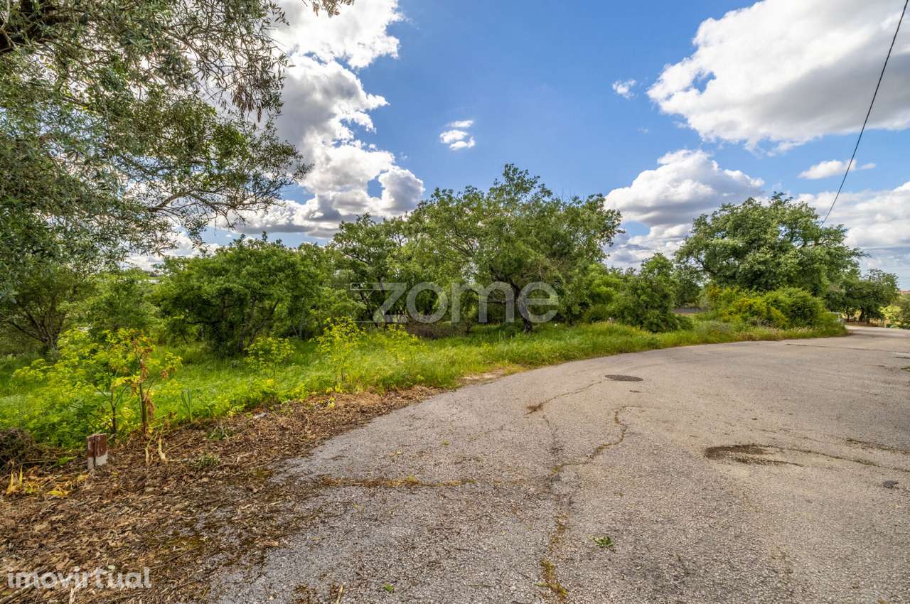 Terreno Urbanizável a 5 min. da Batalha - Grande imagem: 5/41