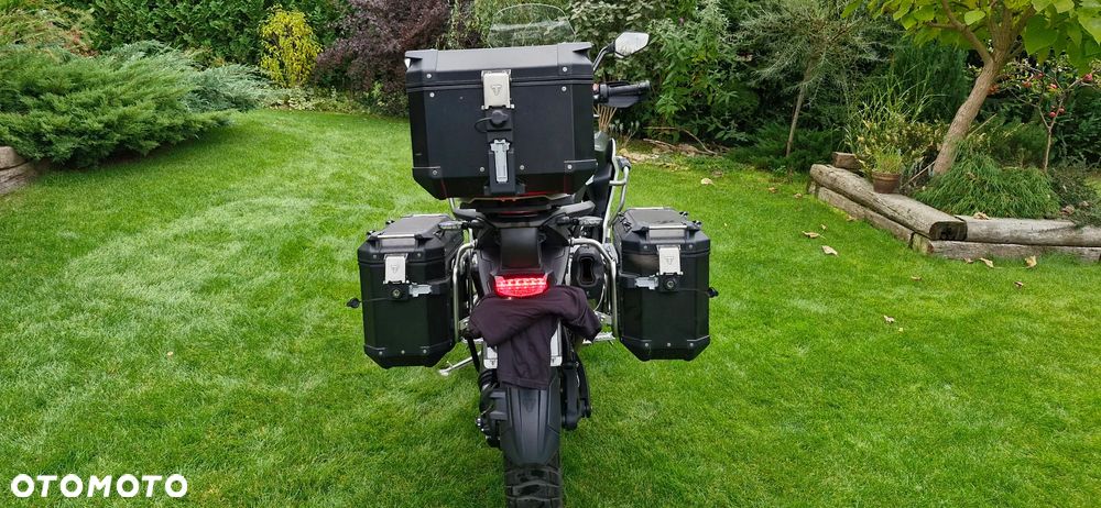 Triumph Tiger - 6