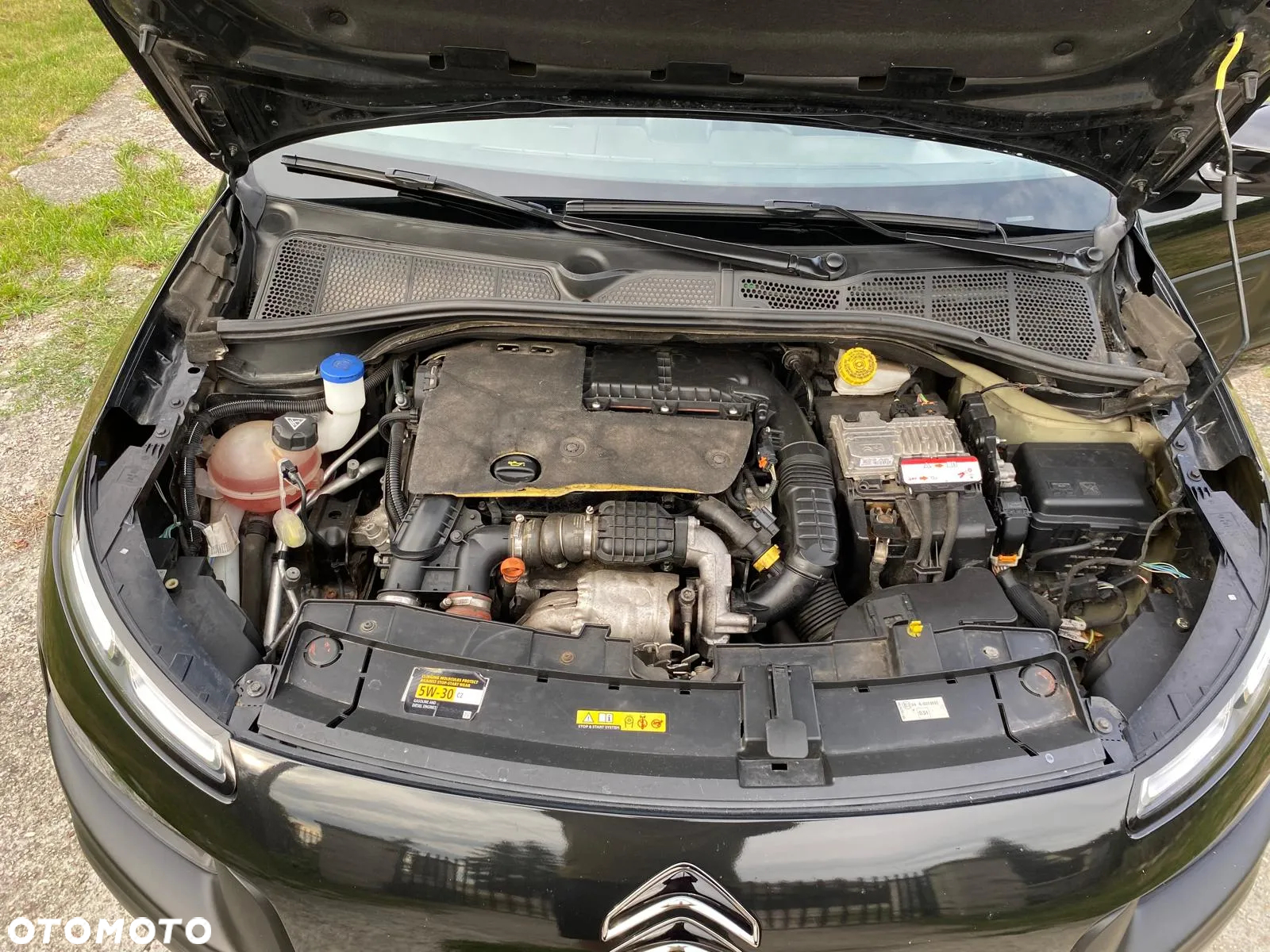Citroën C4 Cactus 1.6 Blue HDi Feel Edition - 13