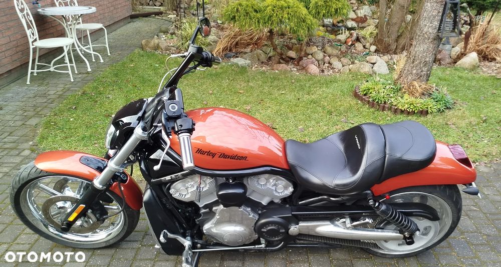 Harley-Davidson Softail V-Rod - 26