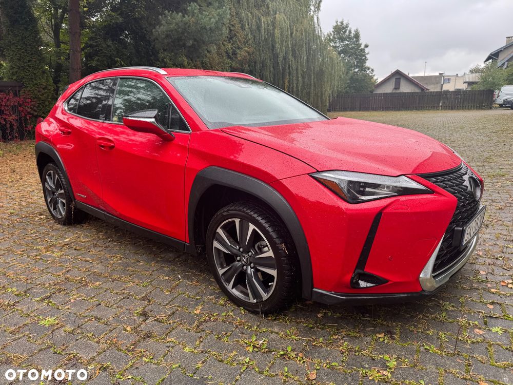Lexus UX 250h GPF Business Edition 2WD - 7