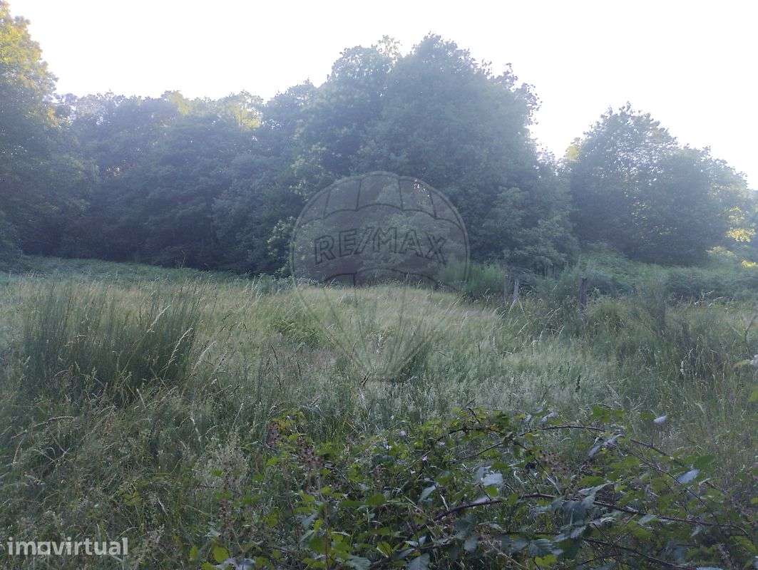 Terreno  para venda - Grande imagem: 5/6