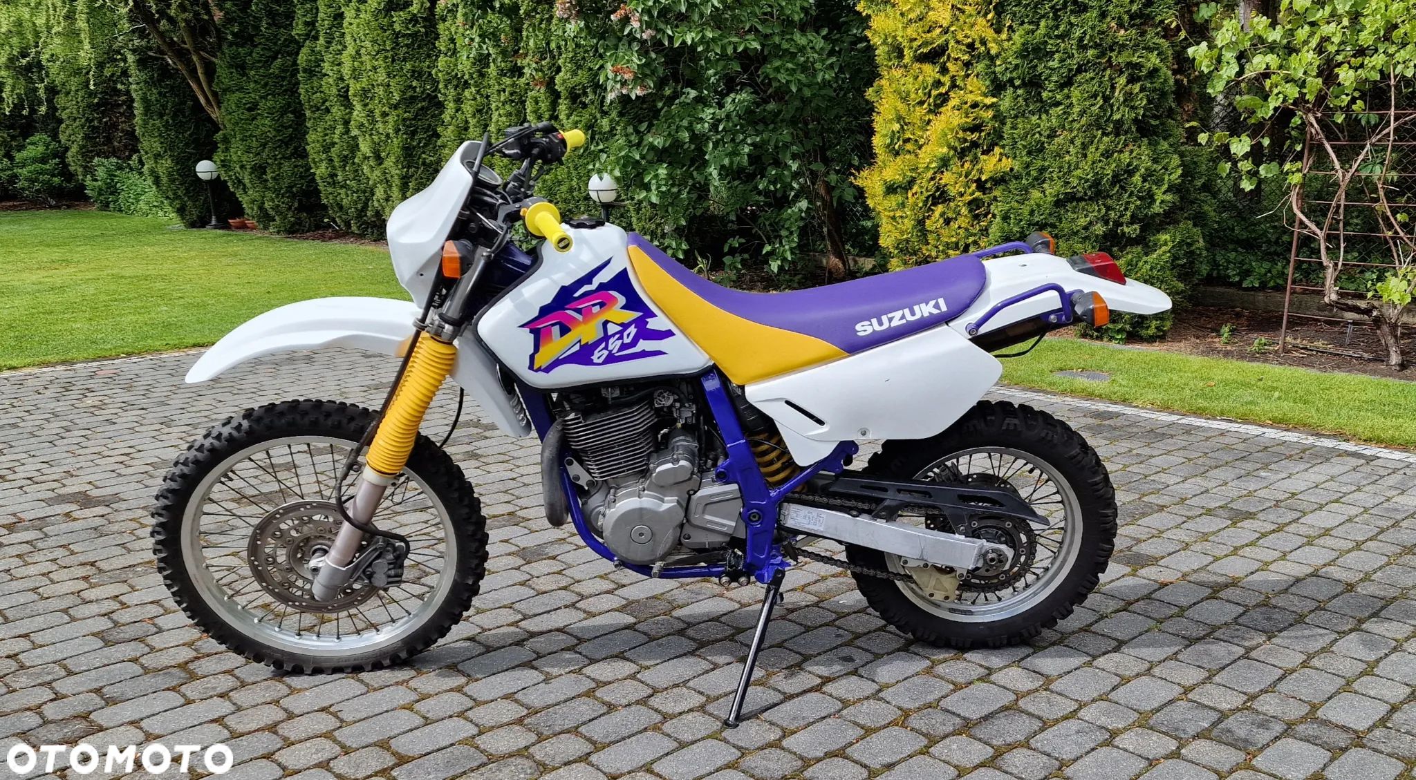 Suzuki DR