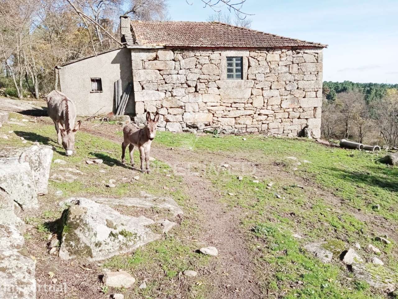 Quintinha p/ recuperar em Torgueda - Vila Real - Grande imagem: 5/36