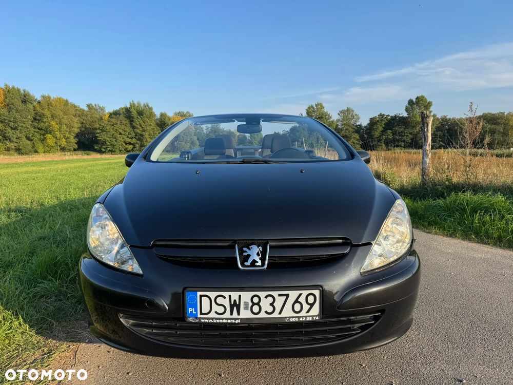 Peugeot 307 CC 2.0 - 10