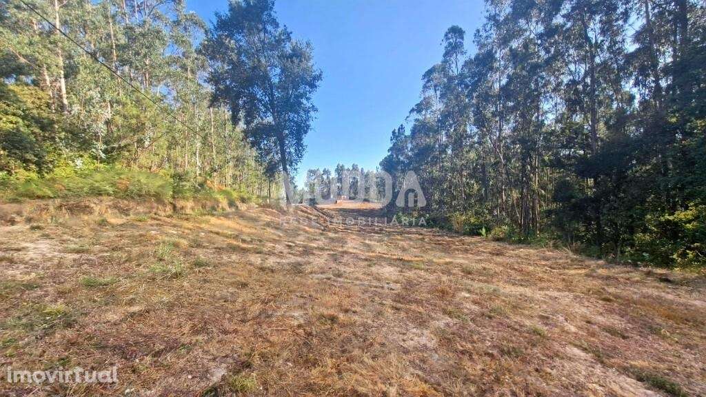 Terreno Rústico com Viabilidade de Construção em São Martinho da Ganda - Grande imagem: 4/11