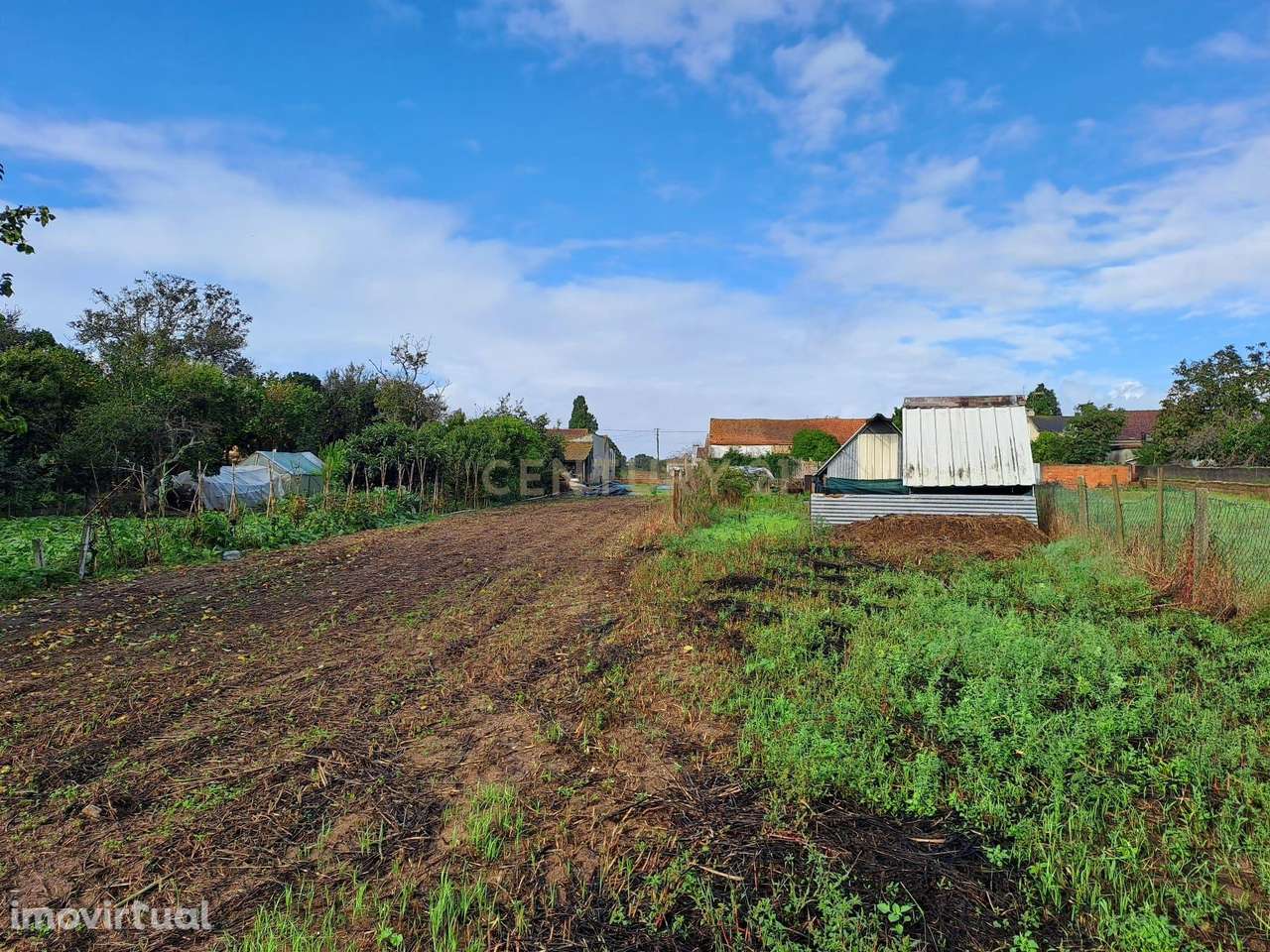 Terreno com Viabilidade para construção em Vagos - Grande imagem: 5/10