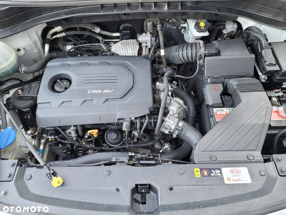 Kia Sportage - 22