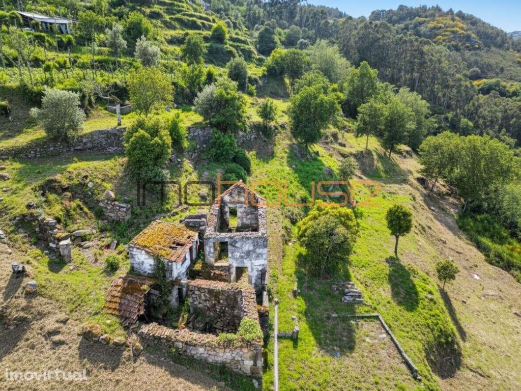 Quintinha com vista fabulosa para o Douro - Grande imagem: 3/33
