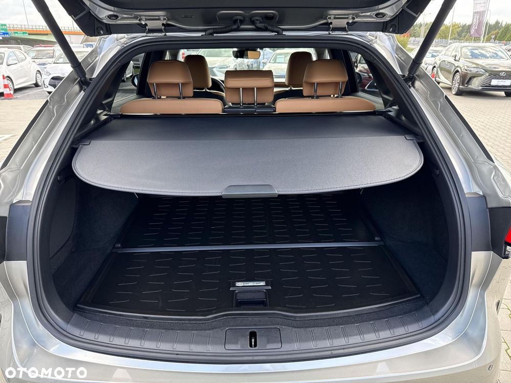Lexus RX - 13