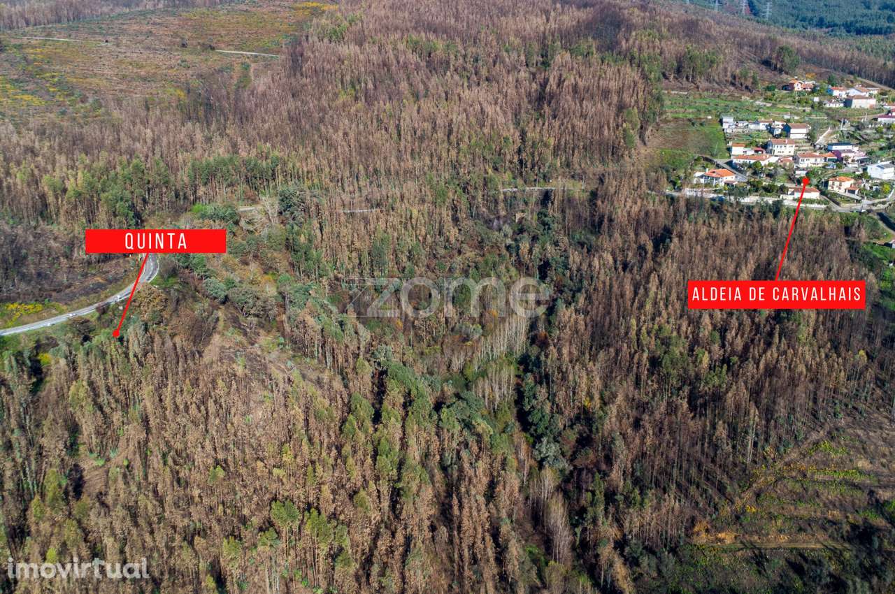 Quintinha para recuperar próxima dos Passadiços do Paiva - Nesperei... - Grande imagem: 2/13