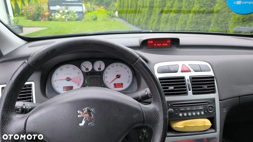 Peugeot 307 2.0 Sporty - 9
