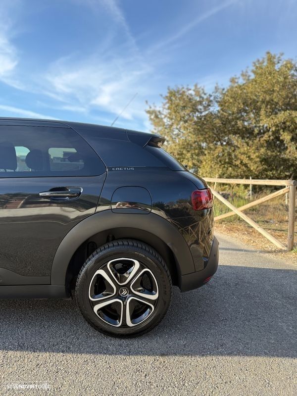 Citroën C4 Cactus - 10