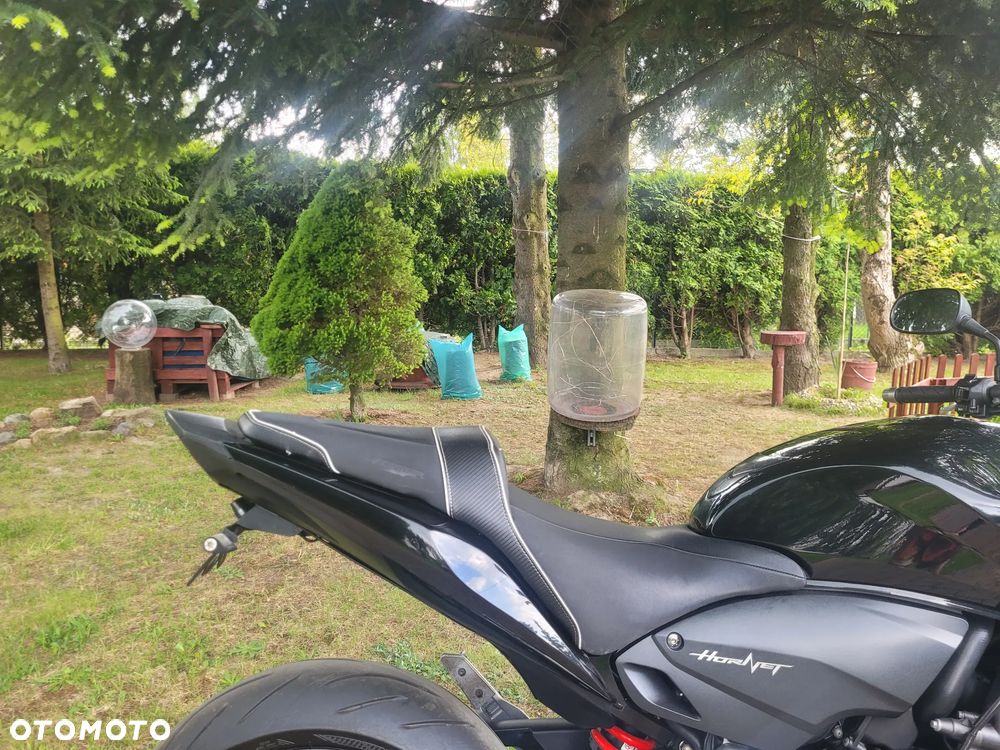 Honda Hornet - 8